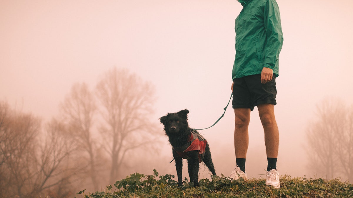 dog and owner on hill in smog