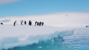 UN Secretary-General visits Antarctica as climate talks loom