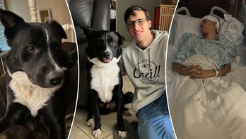 Dog alerts family, saves Texas teenager from life-threatening stroke: 'Keeping guard'