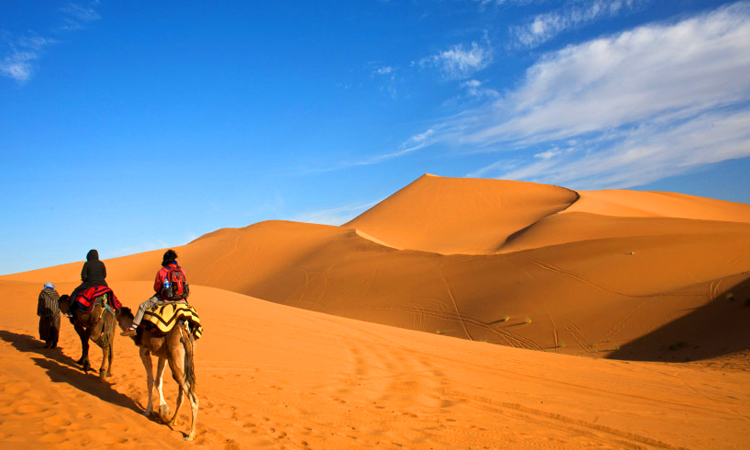 Tour 6 Days to Discovery Morocco Desert from Casablanca