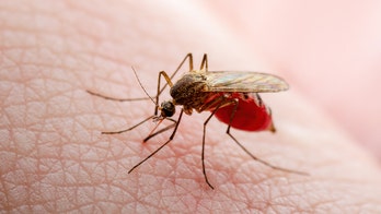 Causes and symptoms of malaria and protective measures to take to avoid it