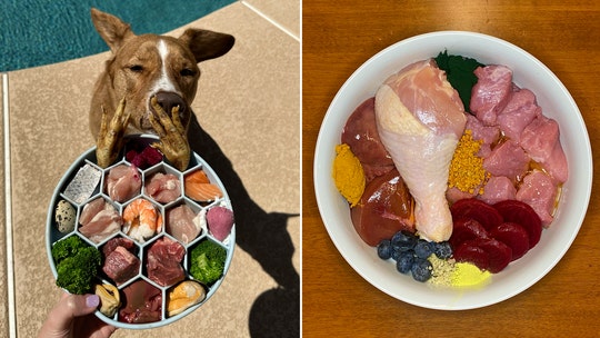 Raw diet for dogs is taking over TikTok, but what does your veterinarian think of the latest trend?