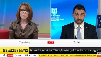 Israeli spokesman's shocked face goes viral over bizarre question about hostage deal: 'Left me speechless'